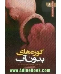 کوزه‌های بدون آب: گزیده‌ای از خاطرات شهدای استان قم
