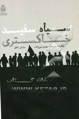 سیاه، سفید، خاكستری: خاطرات سرهنگ مهدی نبی زاده