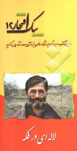خاطراتی از بسیجی شهید سید مرتضی آوینی