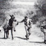 قاطرها در نقش آمبولانس جبهه