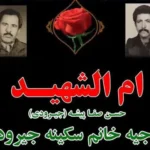 مادر شهید صفاپیشه به فرزند شهیدش پیوست