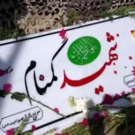 تفحص شهدا در جزیره مجنون