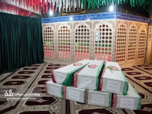 لاله‌های زهرایی